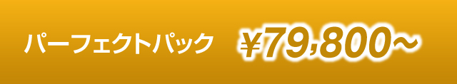 パーフェクトパック￥69,800～
